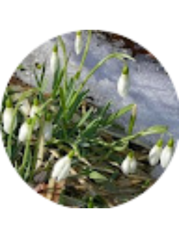 Photo of Florea Loredana