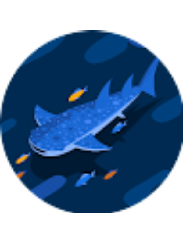 Photo of Isabella Kotek