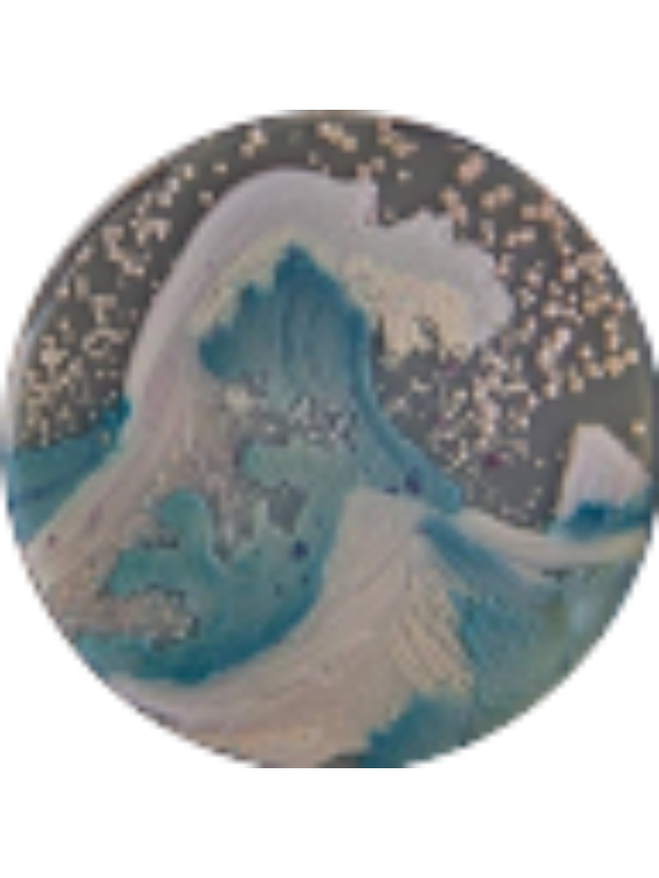 Photo of DONOVAN LEWES