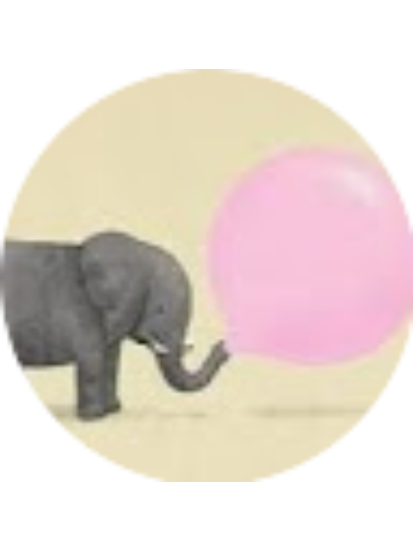 Photo of Gabriela Merino