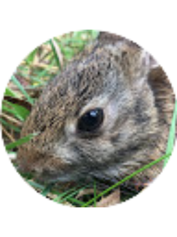 Photo of Nathan Sanchez