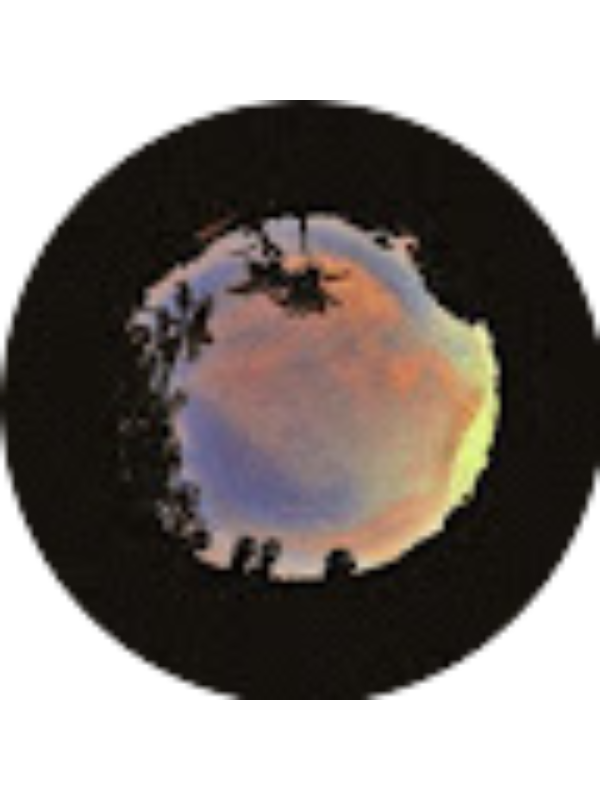 Photo of Erik Bulnes