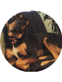 Picture of Madison Gaebler