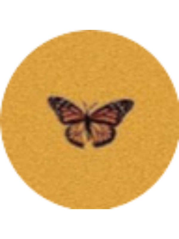 Photo of Fiorella Diez