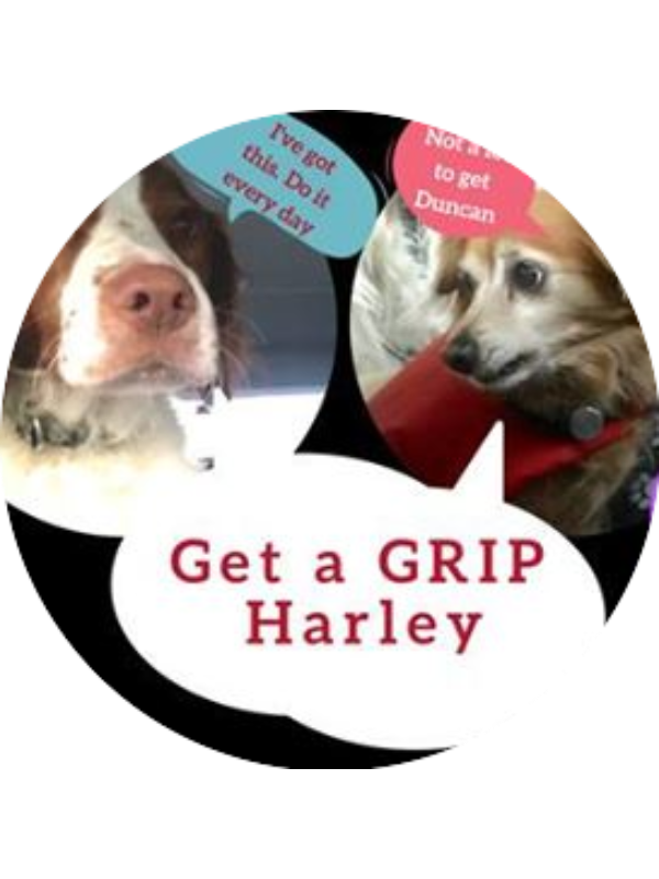 Photo of Rachel Black