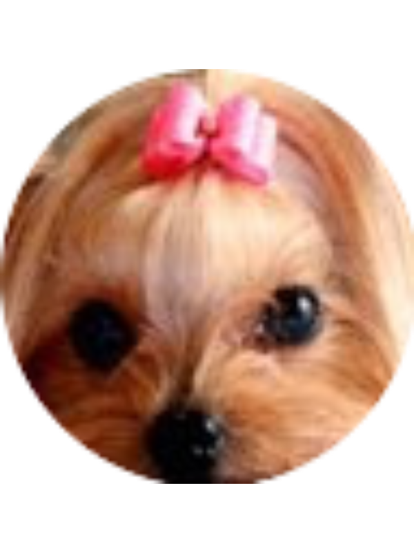 Photo of Iliana Richardson