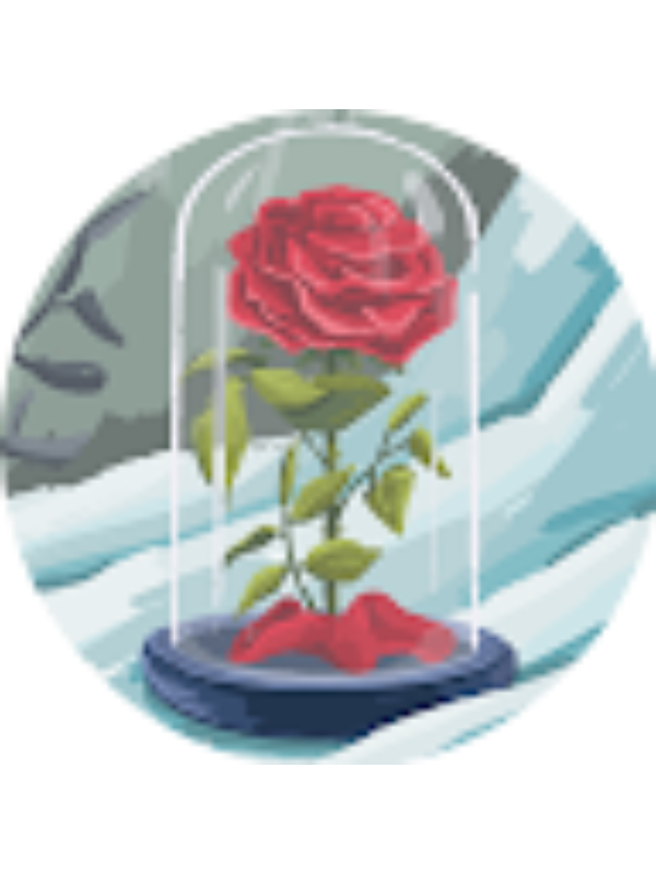 Photo of Laura Lucas Sousa Freitas .