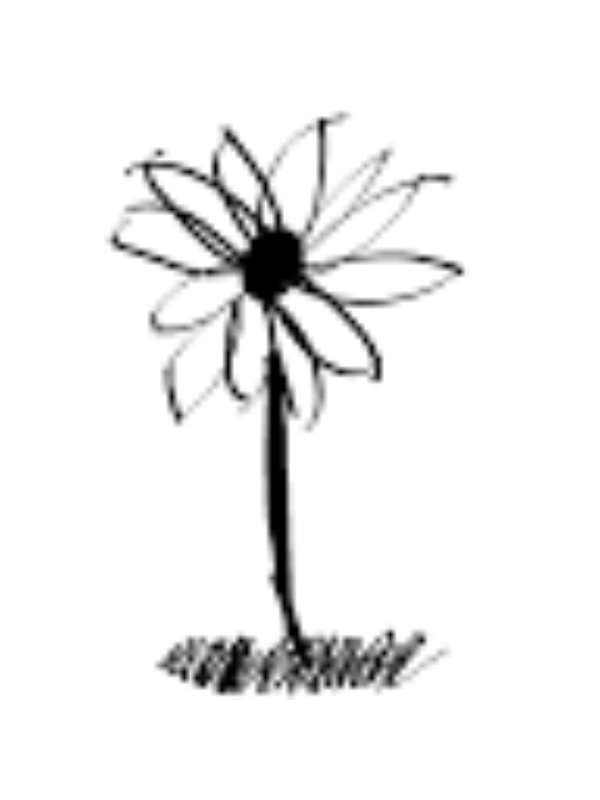 Photo of MORGAN MORROW