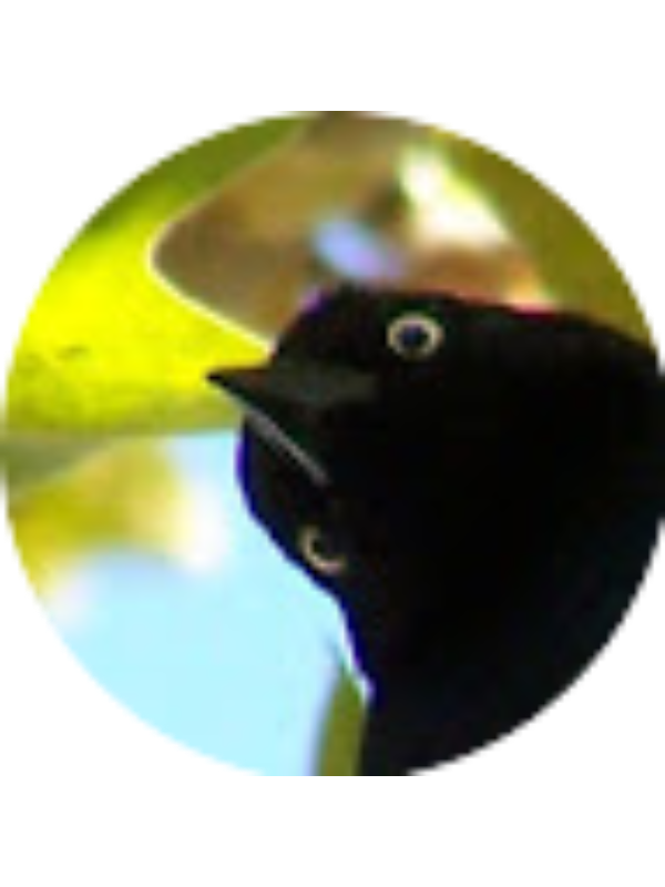 Photo of Isabela Rodriguez