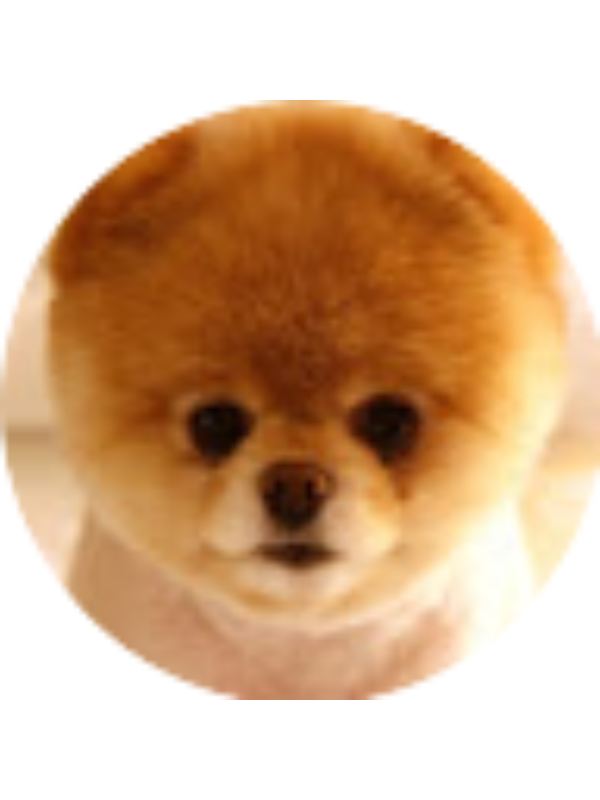 Photo of Violet Lundgren