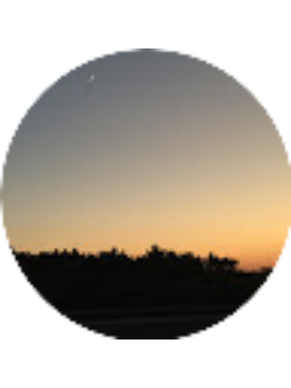 Photo of Lulian Kang