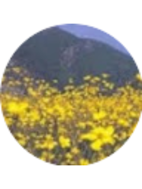 Photo of Eleni Mantopoulou