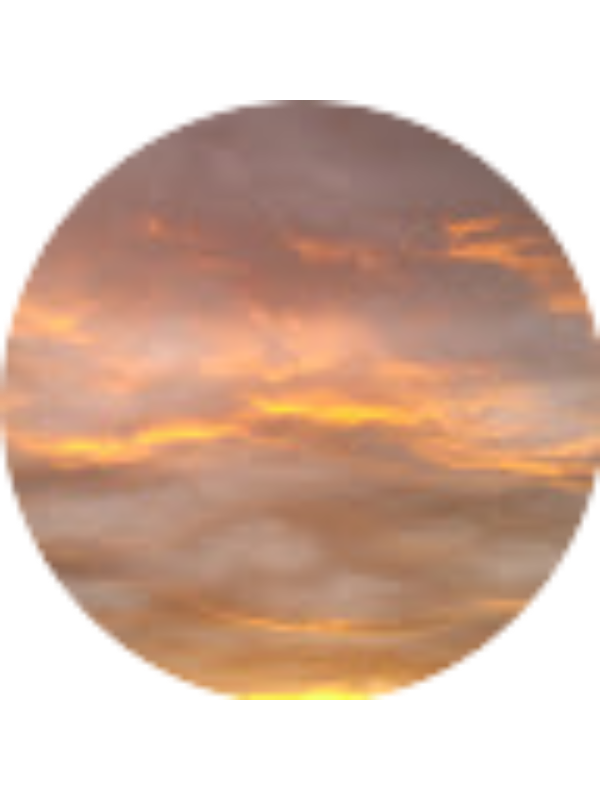 Photo of Lvsn Nsvl