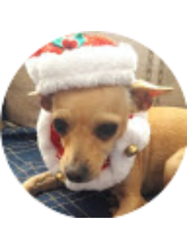 Photo of Karla Elizabeth .