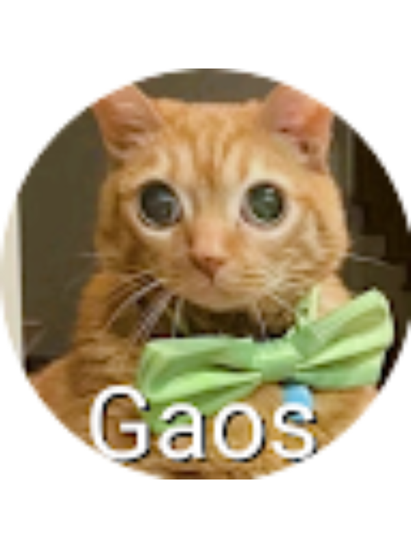 Photo of Mayra Daniela Vel&aacute;squez Mayorga