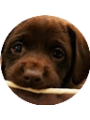 Picture of Genevieve Cooper