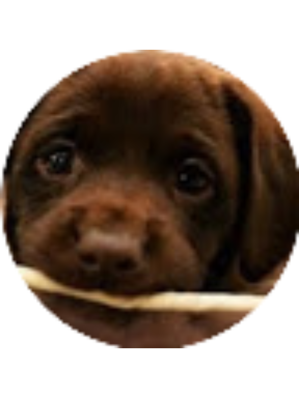 Photo of Genevieve Cooper