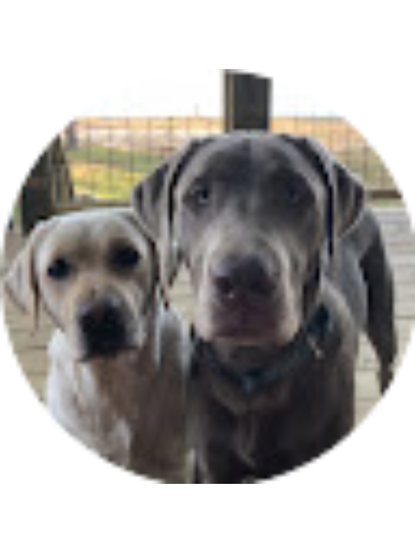 Photo of Kathryn Montanye