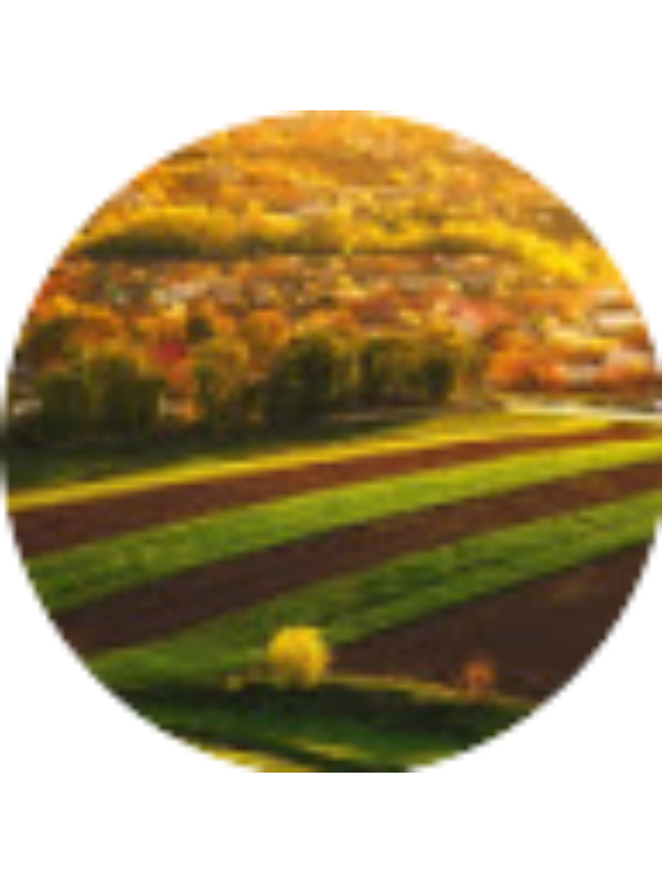 Photo of Maria Lupan