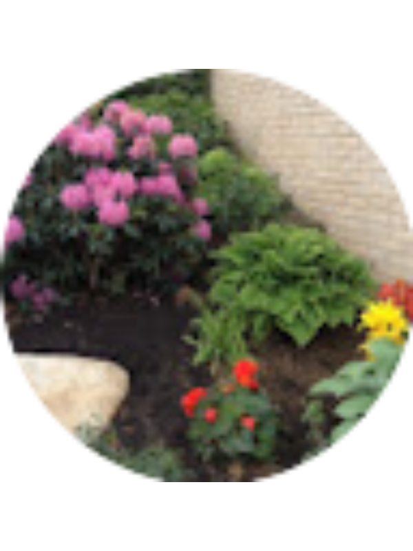 Photo of Lakeya Jones