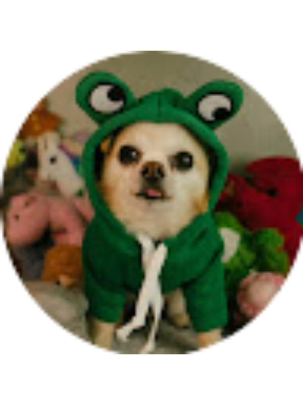 Photo of Julie Arcand