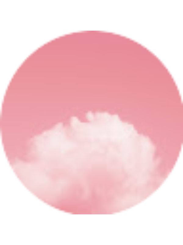 Photo of Sarah Alturk