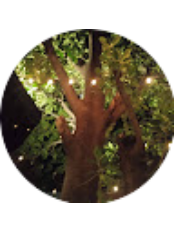 Photo of Maria Gonzalez