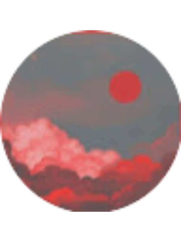 Photo of SUDE OKUTUR