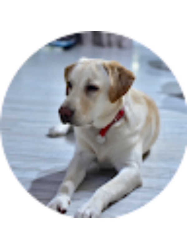 Photo of Evi Charalampidou