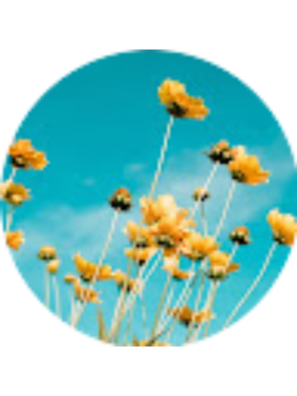 Photo of Morgan Fernandez