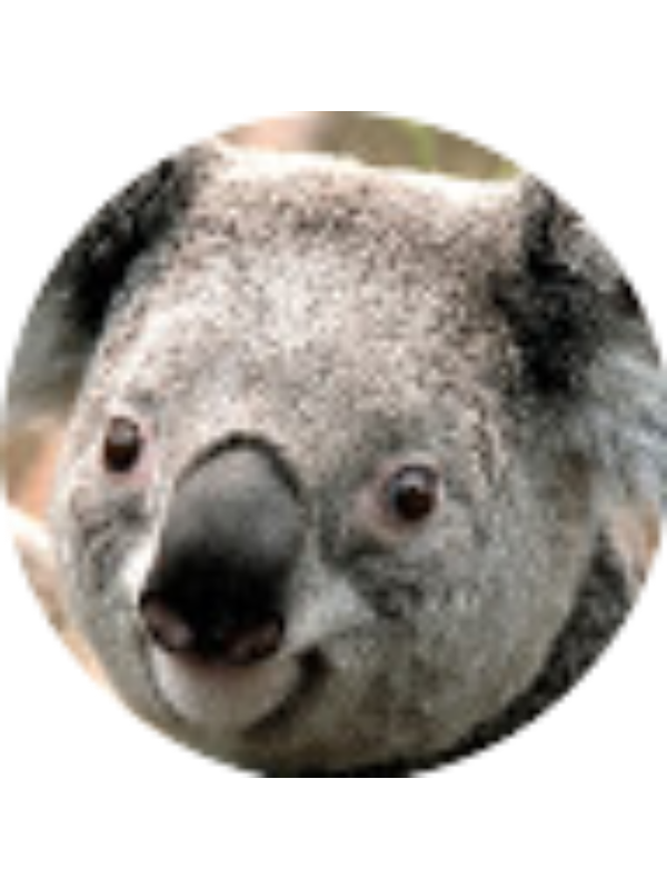 Photo of Alvaro De las salas