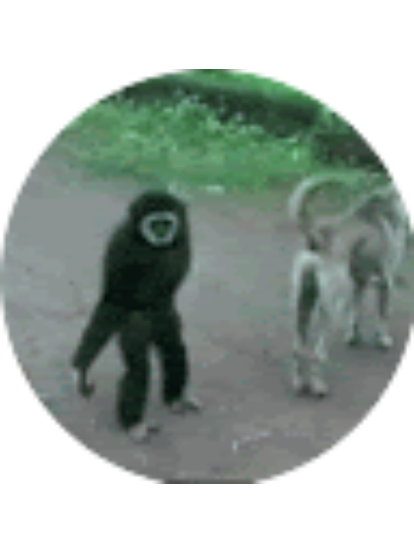 Photo of AERYK LEHRHAUPT