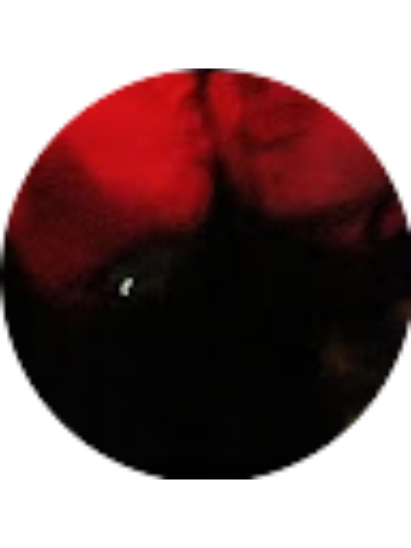 Photo of Beatriz Pereira