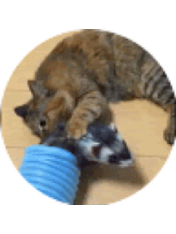 Photo of Gabriel Doyle