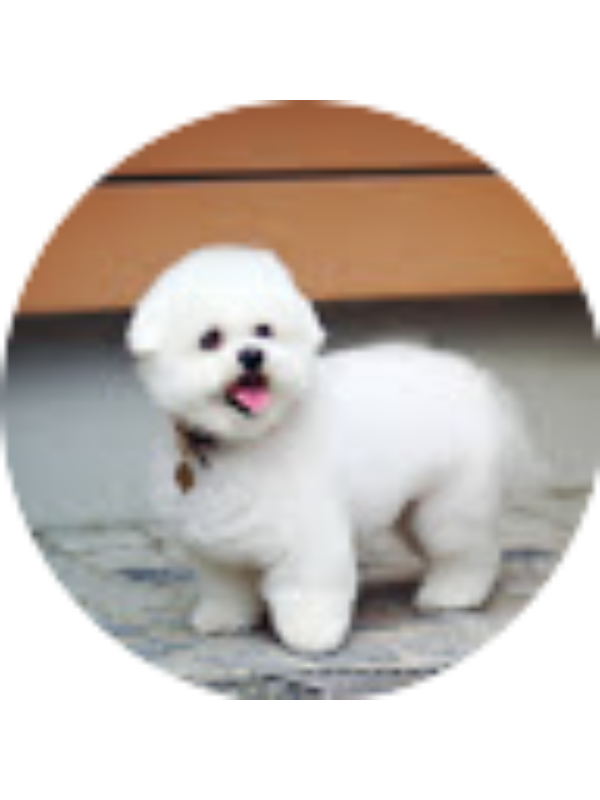 Photo of Luka To&scaron;ić