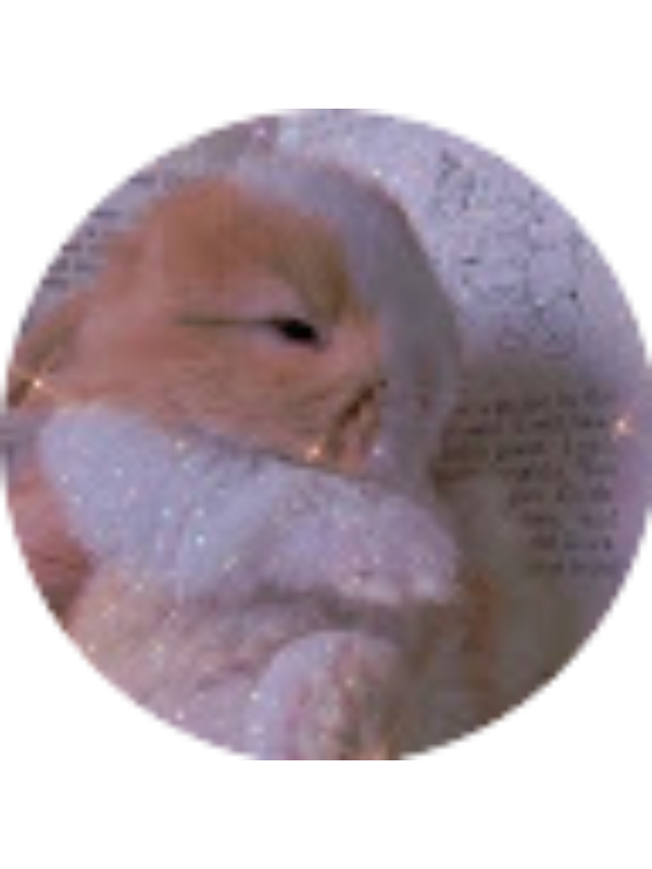 Photo of Gabriella Perino