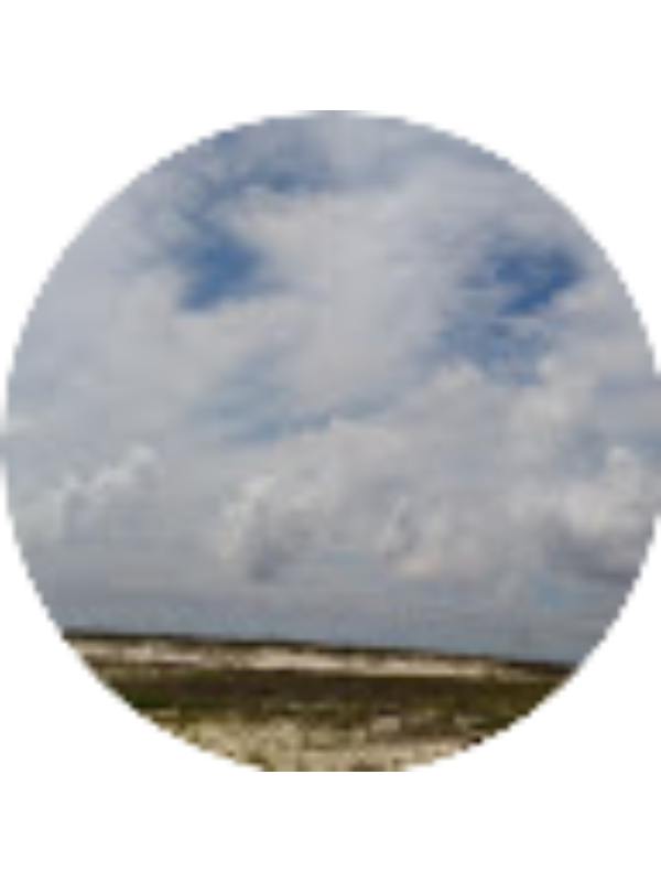 Photo of Anthony Luker