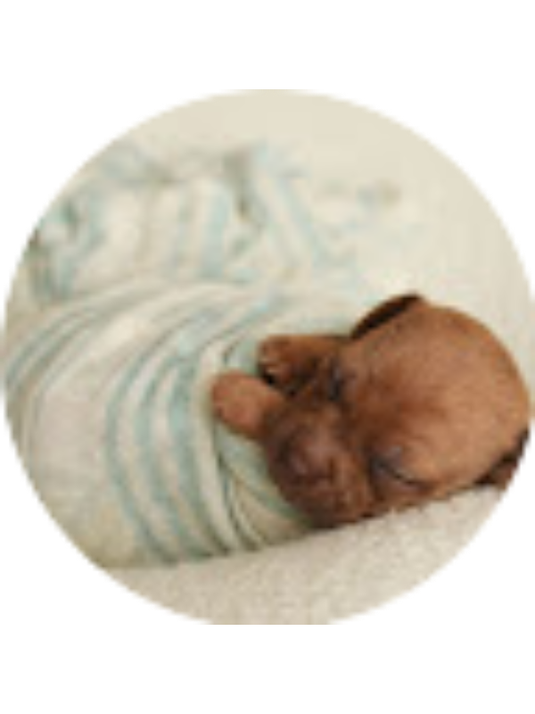 Photo of Grace Aberle