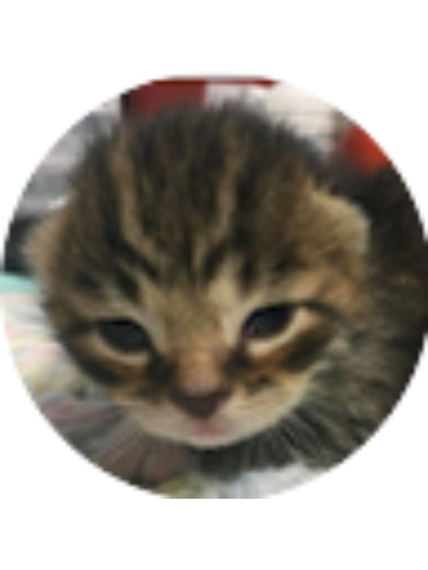 Photo of Vada Riffel