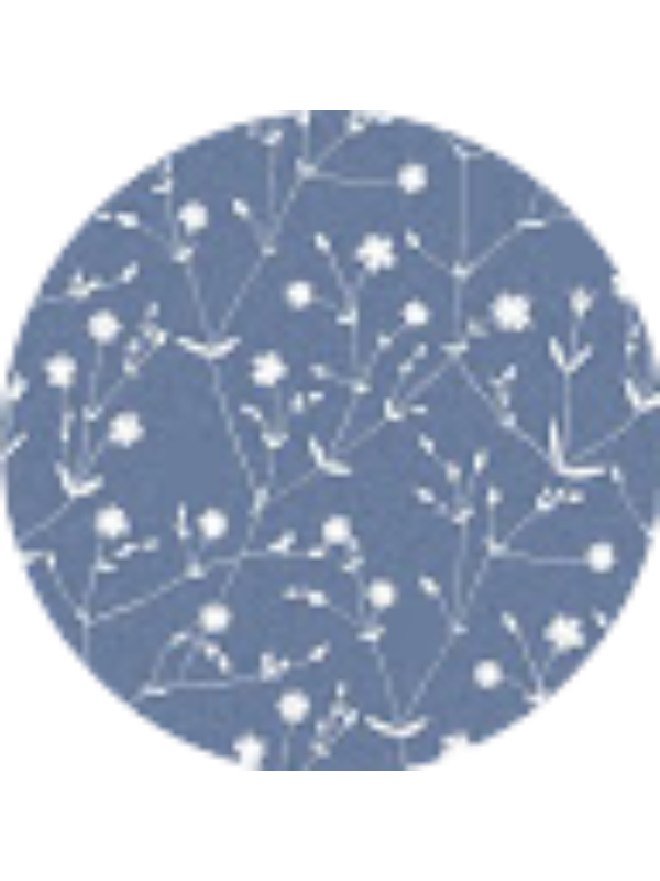 Photo of Payten Mayfield