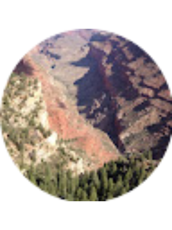 Photo of Michael Cowan