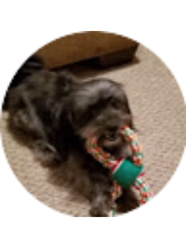 Photo of LAYLA LEWING