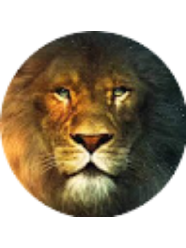 Photo of Armando Alvarado