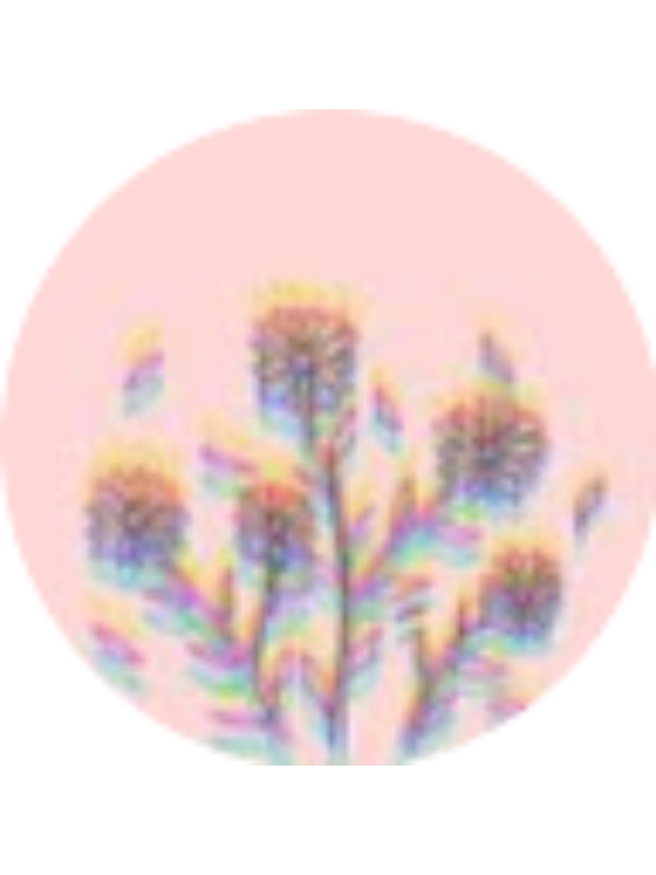 Photo of Kylie Caryer