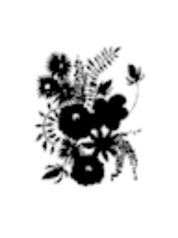 Photo of Soha Sherwani