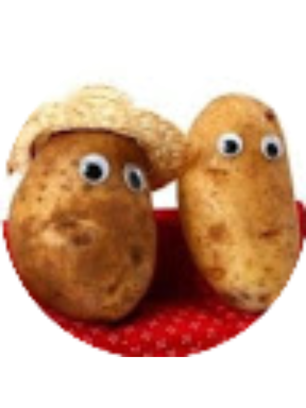 Photo of Elizabeth DiMaggio