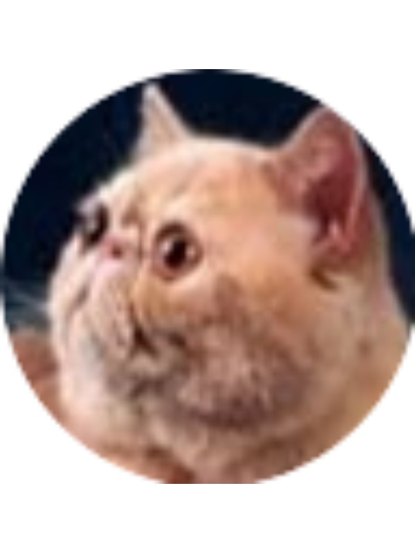 Photo of Ethan Wittkopp