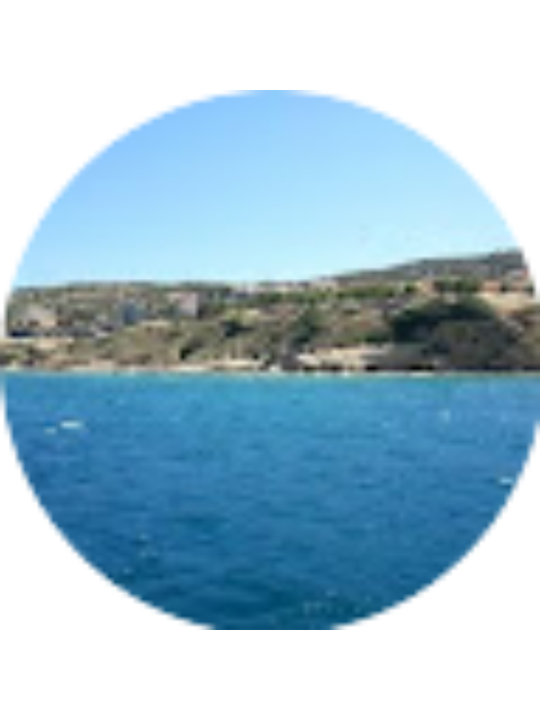 Photo of Meltem &ccedil;evik