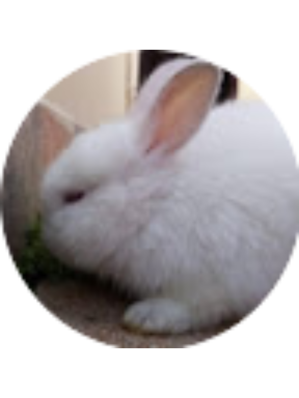 Photo of Isis Salgado