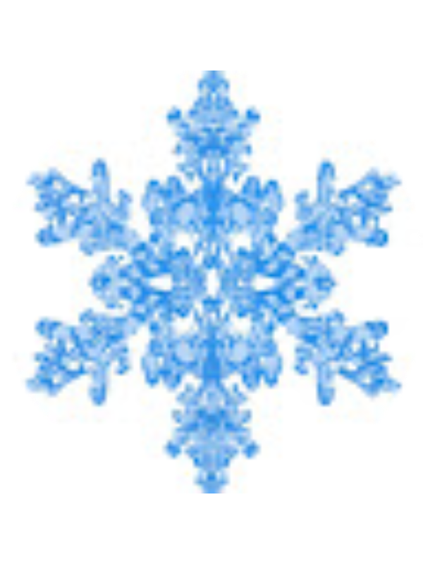 Photo of Safeera Somji-Damji